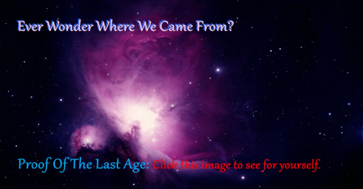 Ever Wonder Where We Came From?
